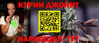 сатива Краснознаменск