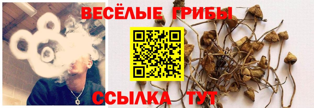 Псилоцибиновые грибы ЛСД  Вход с VPN  Уварово 