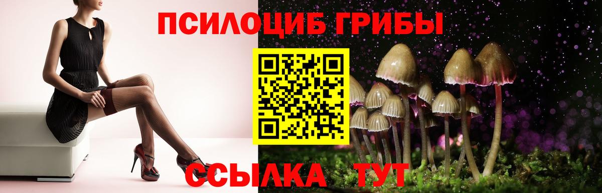 Галлюциногенные грибы Psilocybe Уварово